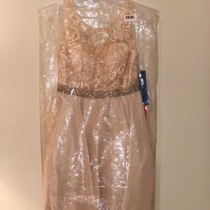 Brand new never been used dress creme/nude color